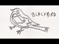 Miniature de la vidéo de la chanson Blackbird