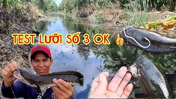Lưỡi Câu Cá Lóc Số 3 Tets lưỡi ok 👍Lê Khải fishing
