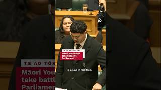 Māori Youth MPs take battle to Parliament | Te Ao Māori News