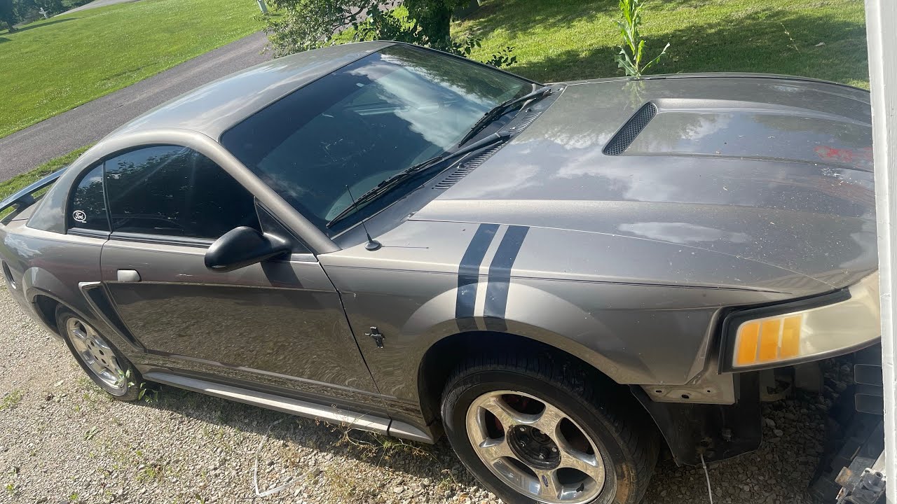 Update video to the copart mustang