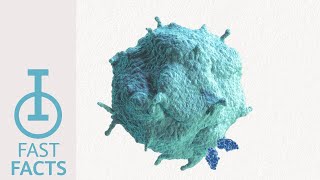 IOU YouTube: How does TIGIT overpower cytotoxic T-cell activity