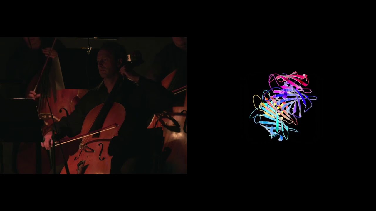 Sound of Molecules I  fiddle with Premiere Uraufführung in Basel NCCR MSE