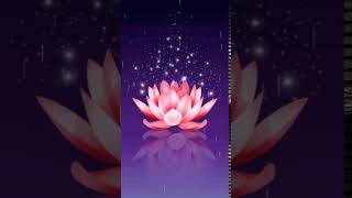 hd lotus Animated