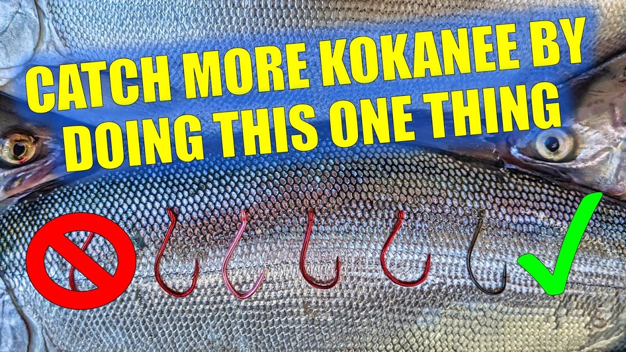 best hooks for kokanee fishing Arrowbash 6 Set Squid Hoochies-Glow Fresh Water Salmon Trolling Lures with Pre-Rigged Octopus Hooks-Synthetic Skirts Kokanee Hoochies Versatile Design Salmon Fishing : Sports & Outdoors 2 snelled hooks Effective Kokanee Techniques by Kent