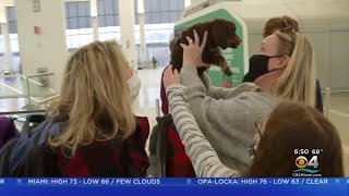 Pandemic Has Led To A Surge In Pet Adoptions