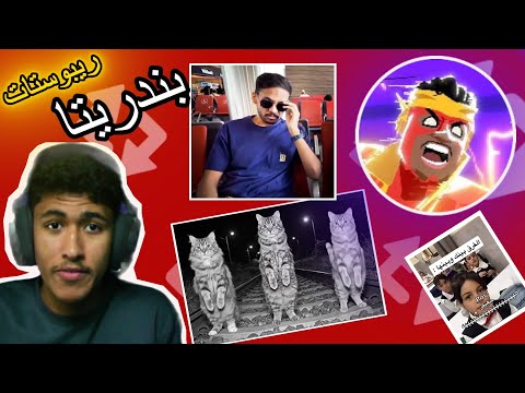 ريبوستات بندريتا 