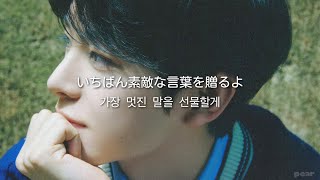 ［日本語訳］Don't Say You Love Me - NCT WISH / 歌詞,和訳