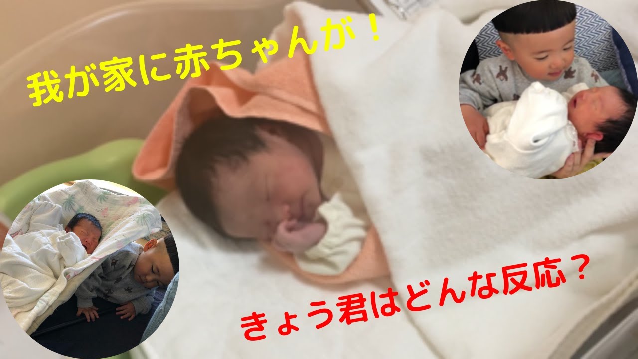 誕生 我が家に赤ちゃんが 年子兄妹 Youtube