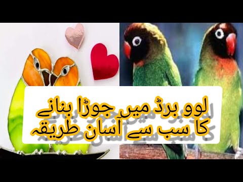 ผลสลากกินแบ่งรัฐบาล วันที่ 1 พย. 2567