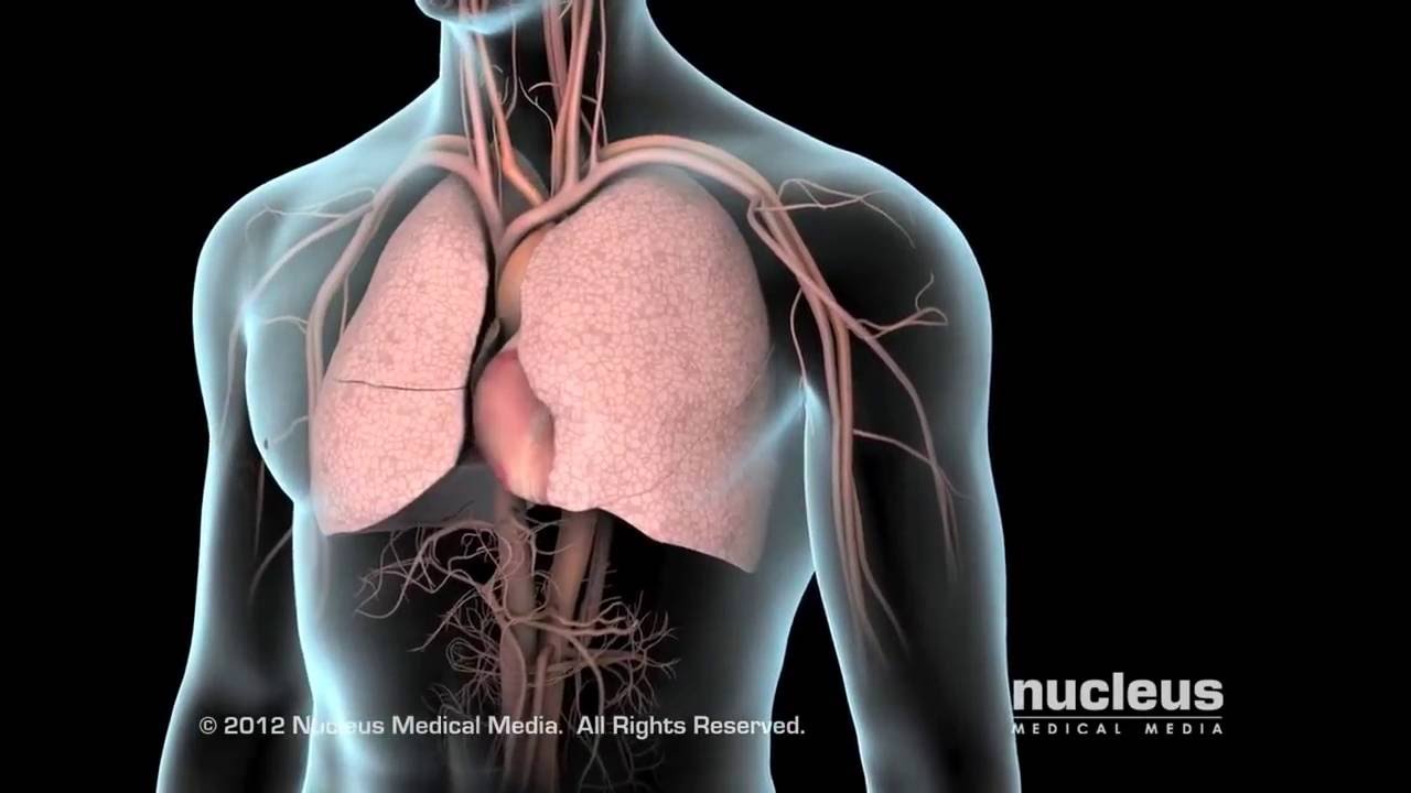 Интубация и Искусственная Вентиляция Легких - YouTube