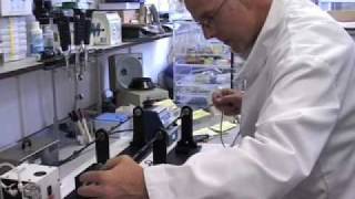 Gene gun-Making DNA  bullets.mov  www.genegunbarrels.com