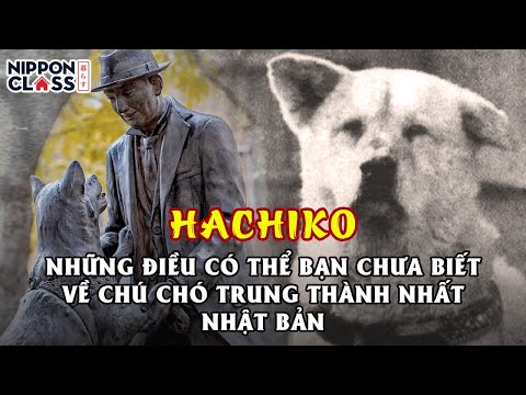 Video: Làm thế nào 