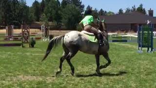 Dots Candy and Sianna - Bend show jumper 1 meter