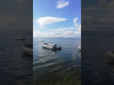 วีดีโอ: อ่างเก็บน้ำ Dmitrov (Orenburg) - ตกปลาและพักผ่อนหย่อนใจได้ทุกช่วงเวลาของปี