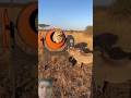 Wild Boar Faces Cheetah In A Cement Mixer Shorts
