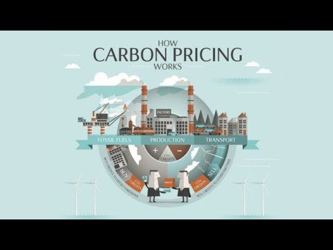 Video: Ano ang porsyento ng mga carbon emissions?