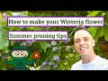 How to make your wisteria flower summer pruning guide