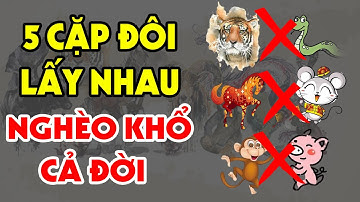 5 CẶP CON GIÁP Cứ Lấy Nhau Là NGHÈO MẠT KIẾP, Khổ Sở Cả Đời Vẫn Không Ngóc Đầu Lên Được
