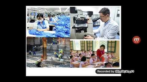 GDCD 9 - BÀI 14: QUYỀN VÀ NGHĨA VỤ LAO ĐỘNG CỦA CÔNG DÂN (tiết 2)