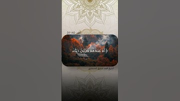 سورة الطور - [35-37]  ||  الشيخ محمد صديق المنشاوي ❤️