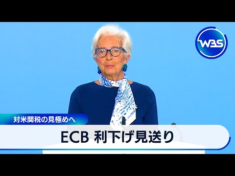 ECB利下げ見送り 対米関税の見極めへ【WBS】