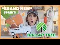 *CUTE* DOLLAR TREE HAUL | NEW SPRING ARRIVALS + Answer Buzzers?!