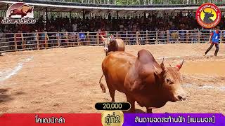 โคแดงนักล่า (แดง) VS ลันดายอดสะท้านฟ้า [แมมมอส] (น้ำเงิน)