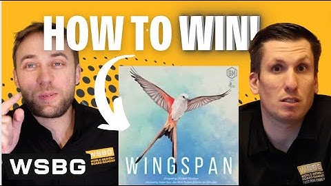 How to Win Wingspan | Strategy Tips from a World Series Champion