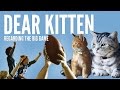 Dear Kitten: Regarding The Big Game