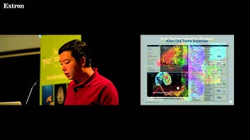 Yang Li - A next generation common coordinate framework of the adult mouse brain [...]