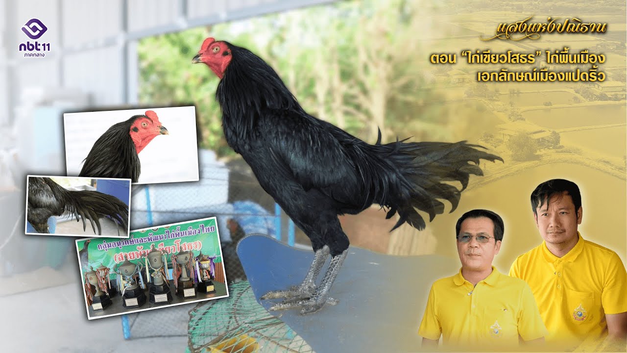 รายการแสงแห่งปณิธาน ตอน  