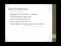 Blood Brain Barrier || Neurology || Boards and Beyond