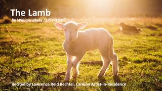 The Lamb, by William Blake