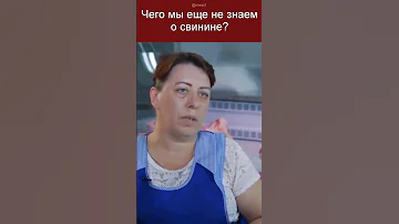 Чем кормят свиней на современных фермах