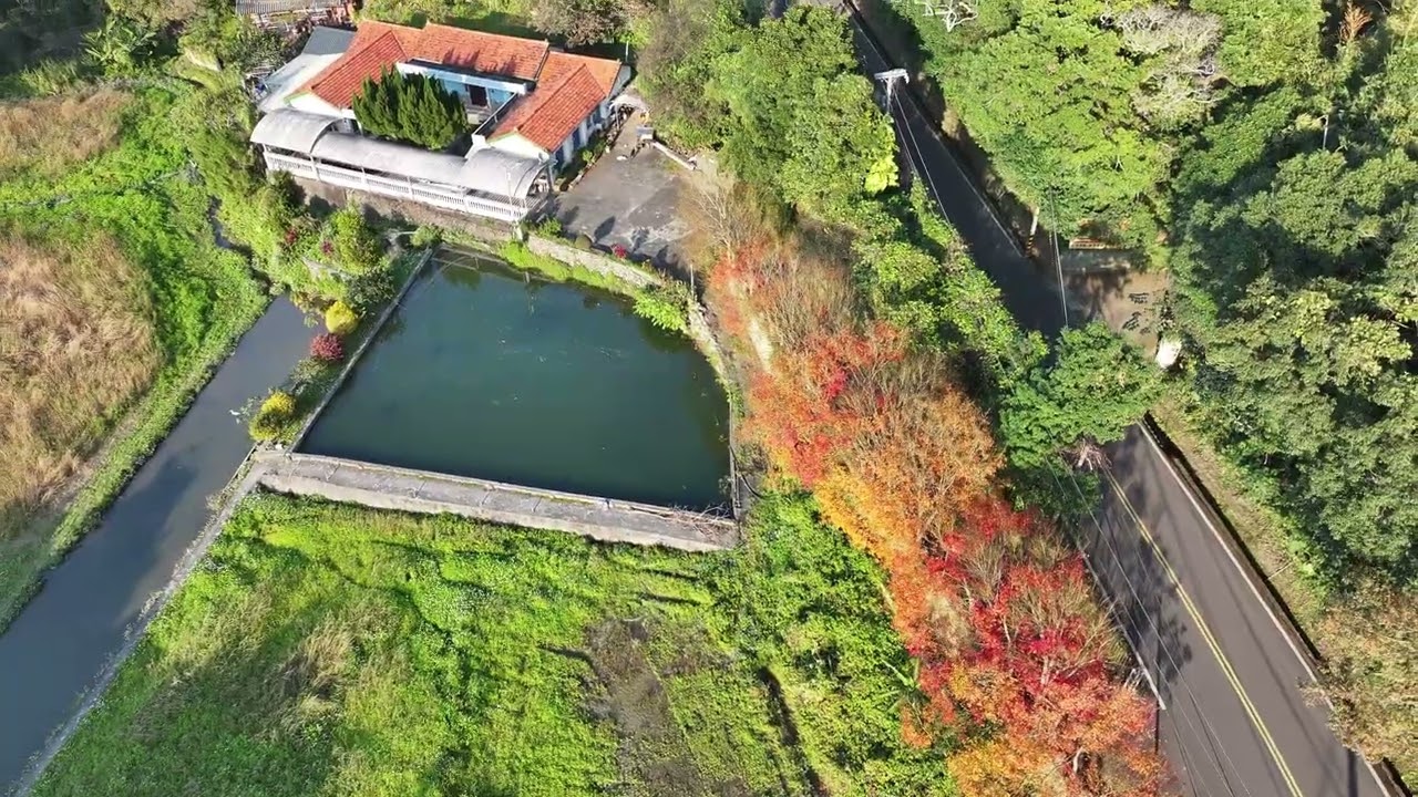 楓紅處處-南庄驚豔