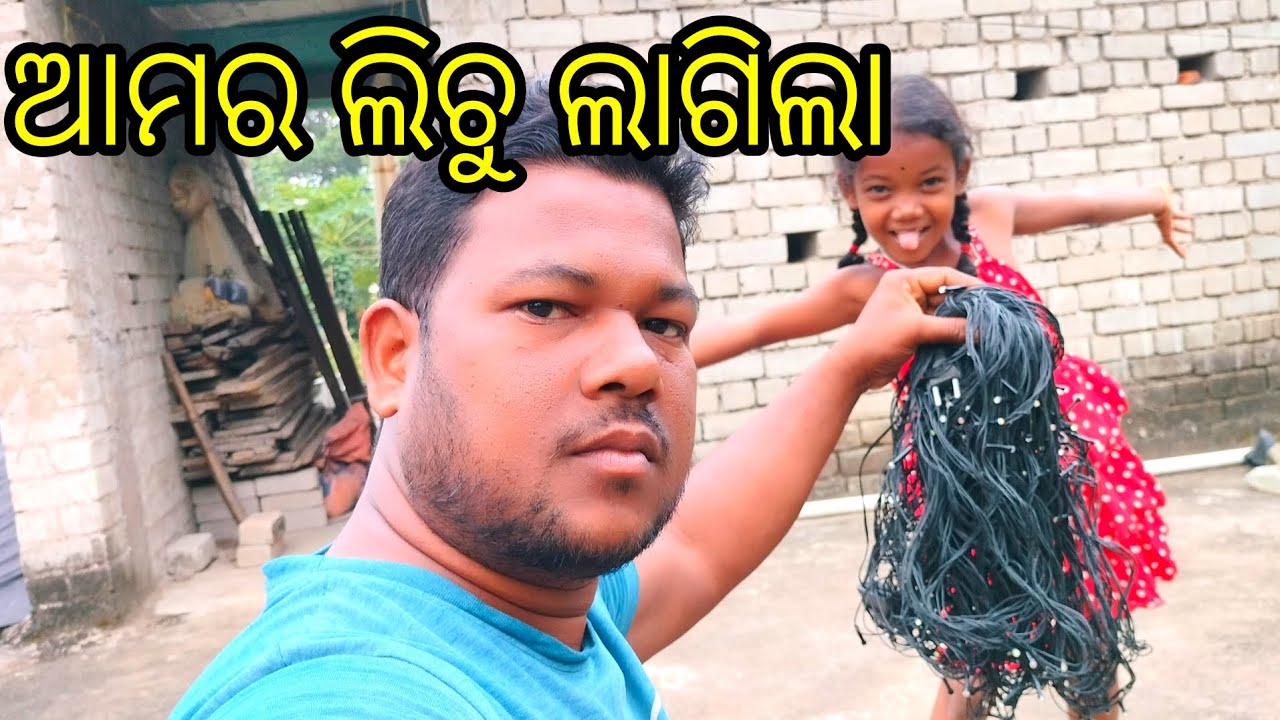 ଆମର ଲିଚୁ ଲାଗିଲା  lichu light decoration 