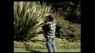 John Fogerty.Deja Vu All Over Again