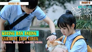 FULL PART 6 | ANJING DAN KUCING BERSATU, SAHABAT JADI CINTA | ALUR CERITA LOVELY US