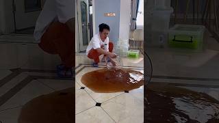 It Started as Slime Fun But Turned Into a Huge Mess 😱 | #shorts #viral #trending #shortvideo