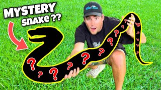 New Mystery Snake Unboxing ! What Could It Be ??