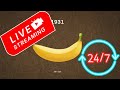 AFK BANANA CLICKING LIVE!  Hunting RARE TAGS (Crypticanana/Golden) - NEXT DROP SOON!!!