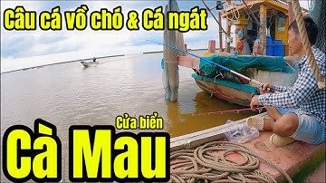 Mùa Câu Cá Vồ Chó và cá ngát ở cửa Biển Cà Mau #cauca #câucá 