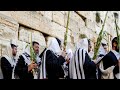 The wailing wall in jerusalem  sights and sounds