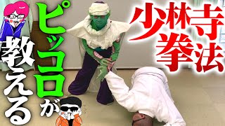 ピッコロに「少林寺拳法」をガチで習ったら戦闘力が爆上がりした！【ドラゴンボール芸人】