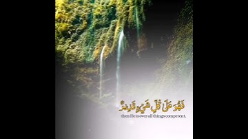 حالات واتس اب تلاوة خاشعة القارئ عبدالله الموسى