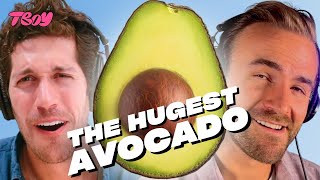 Mission Avocado’s surprise. Wall Street’s 80 hr workweek cap. Disney’s Dartmouth dilemma.
