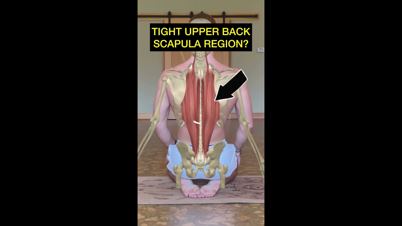 Movements For A Tight Upper Back Hope These Help Backpain Backstiffness Shorts Backpaintips