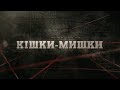 Кішки-мишки | Вещдок