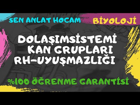 DOLAŞIM SİSTEMİ KONU ANLATIMI 12 | KAN GRUPLARI - RH  UYUŞMAZLIĞI | AYT BİYOLOJİ | ✅