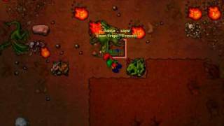 Level 31 sorcerer kills dragon